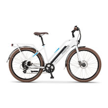 High Quality Adult City Electric Bicycle with Down Tube Lithium Battery